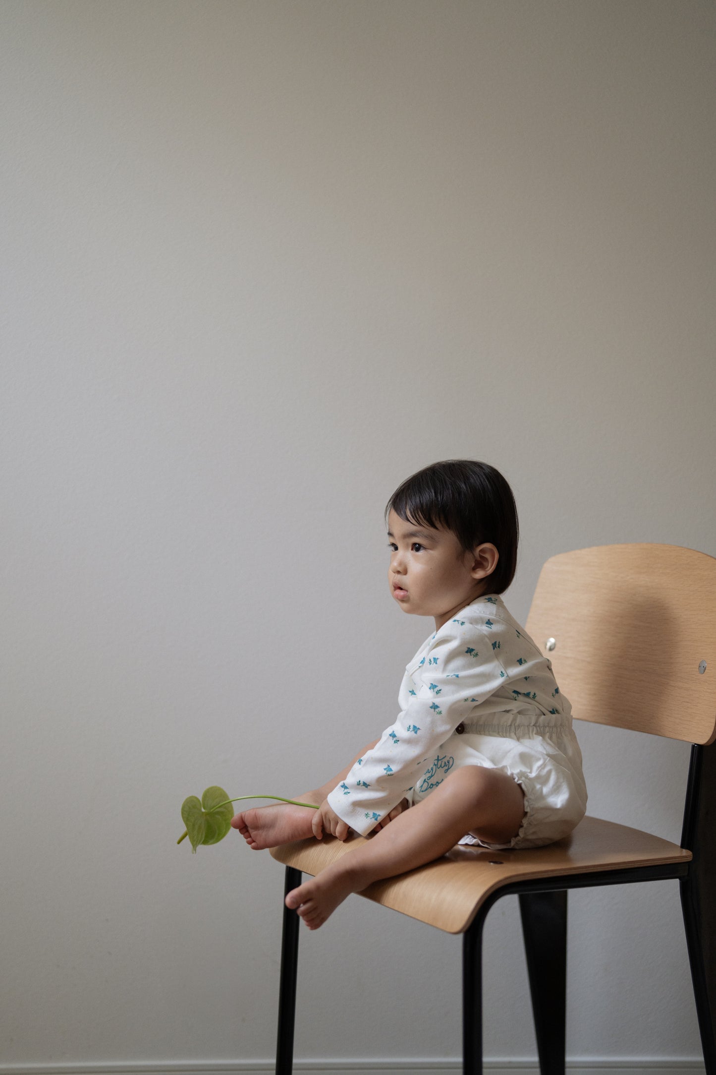 Suspender Bloomer - Onepoint Kawasemi