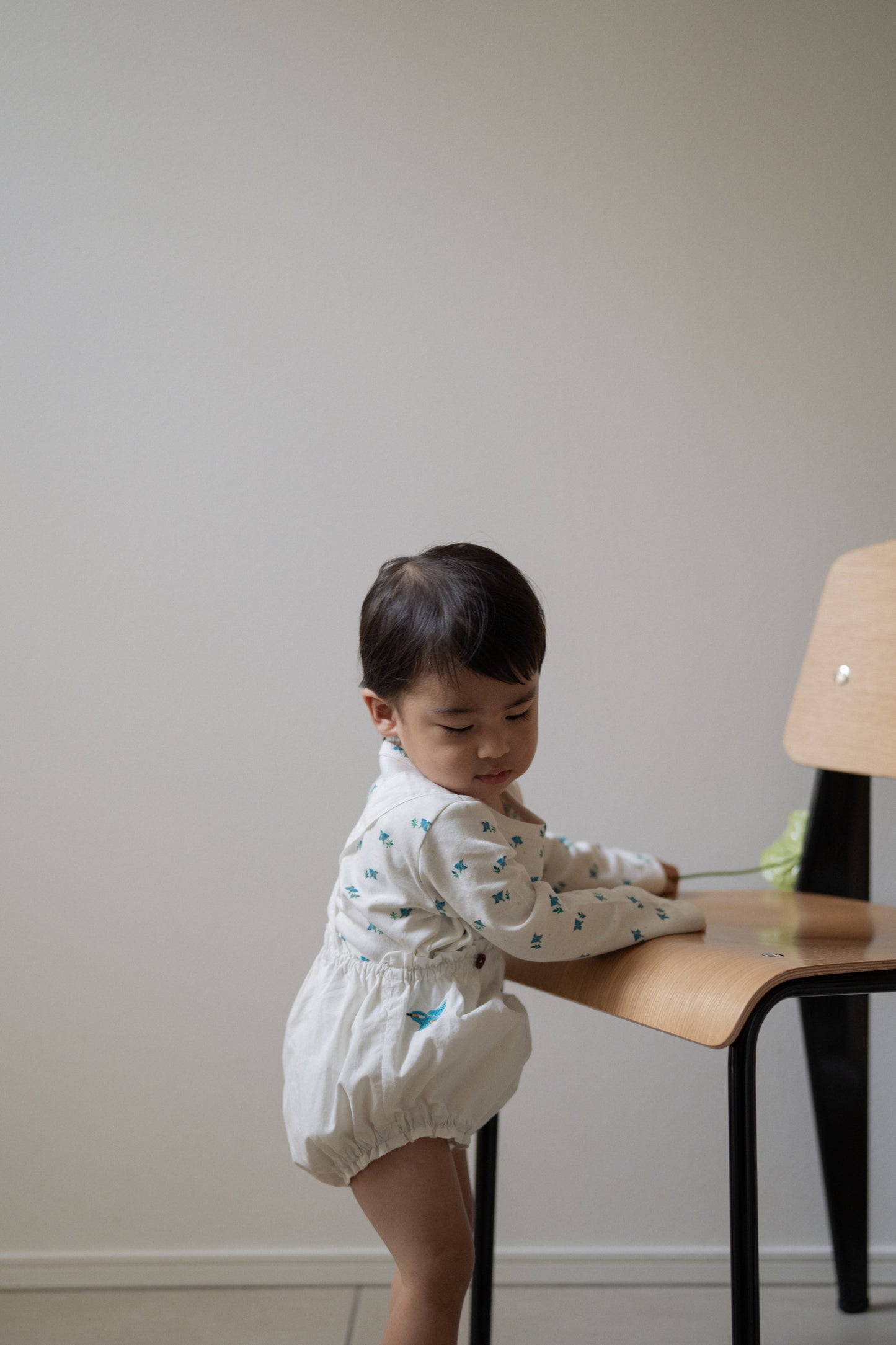 Suspender Bloomer - Onepoint Kawasemi