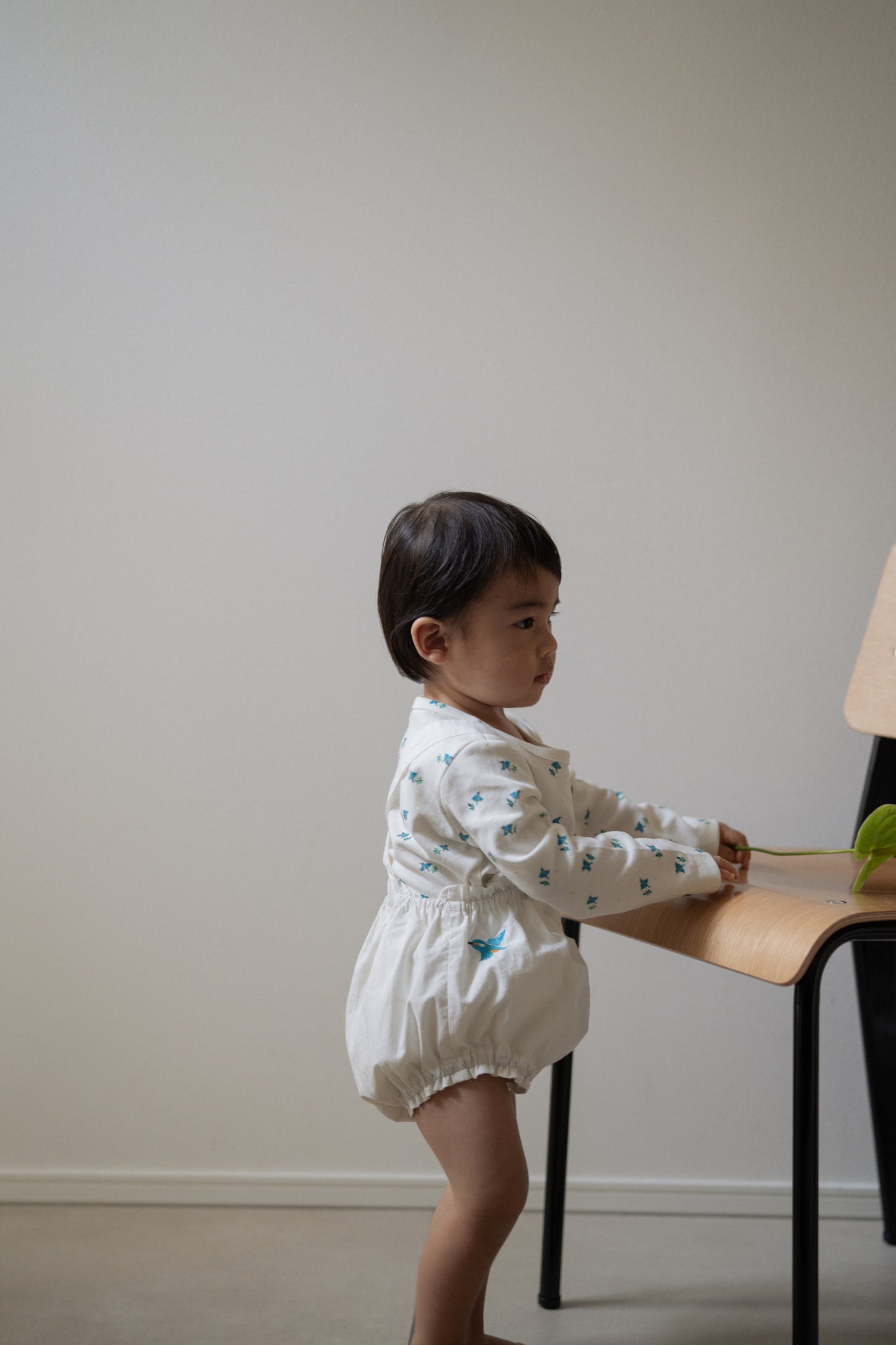 Suspender Bloomer - Onepoint Kawasemi