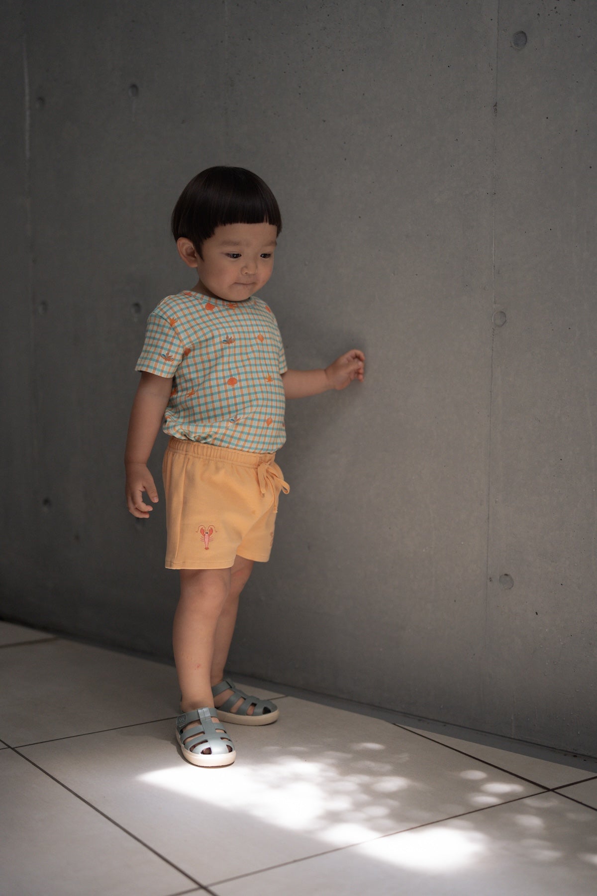 Shorts - Little Zarigani