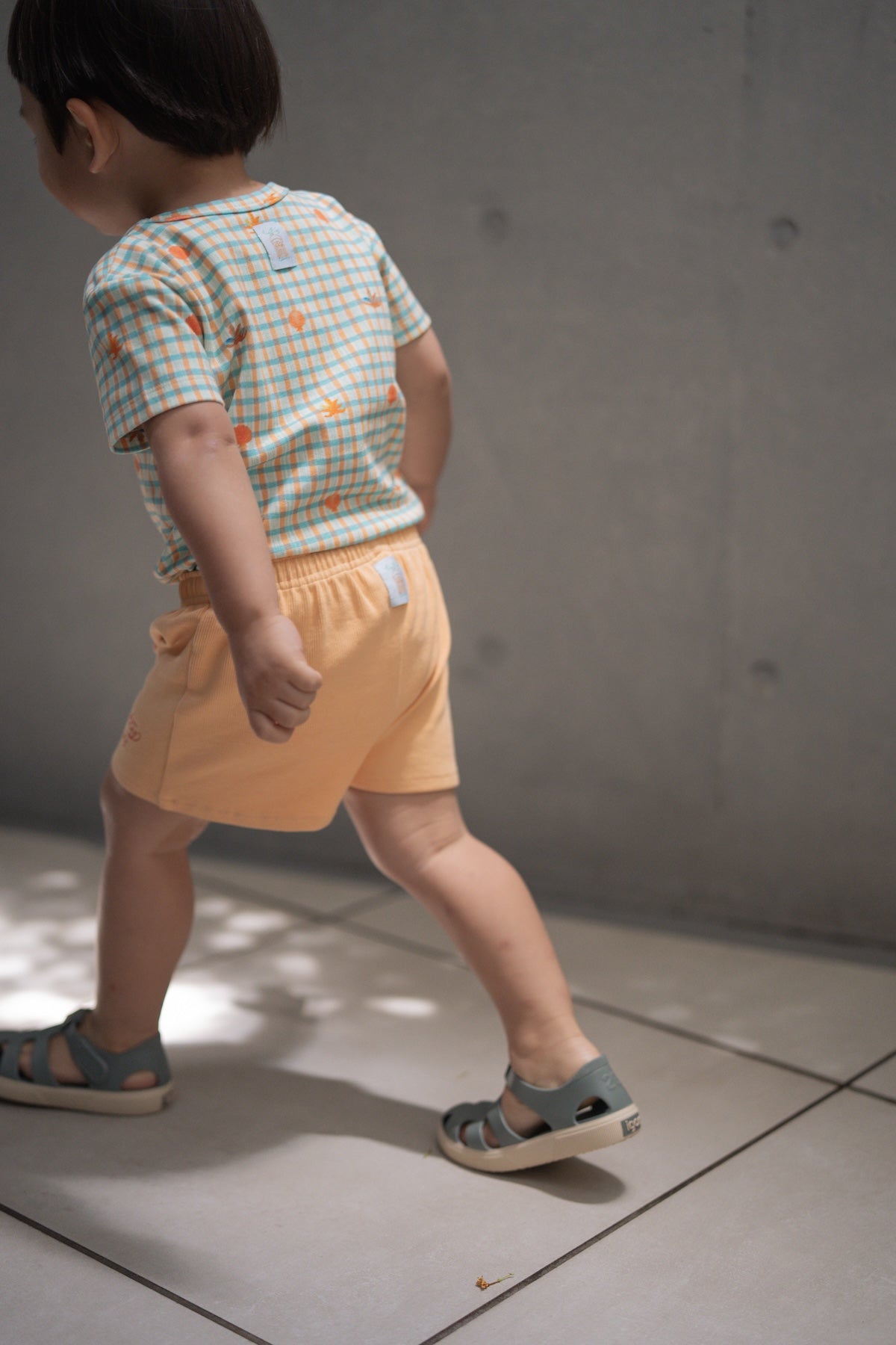 Shorts - Little Zarigani