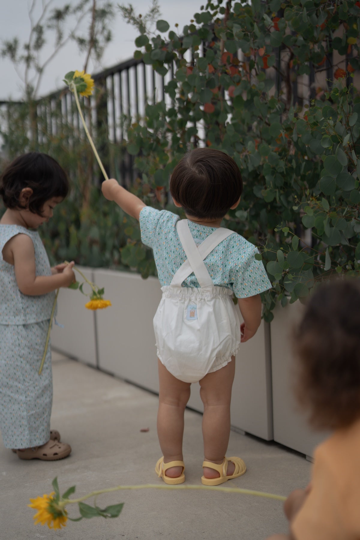 Suspender Bloomer - Onepoint Kawasemi