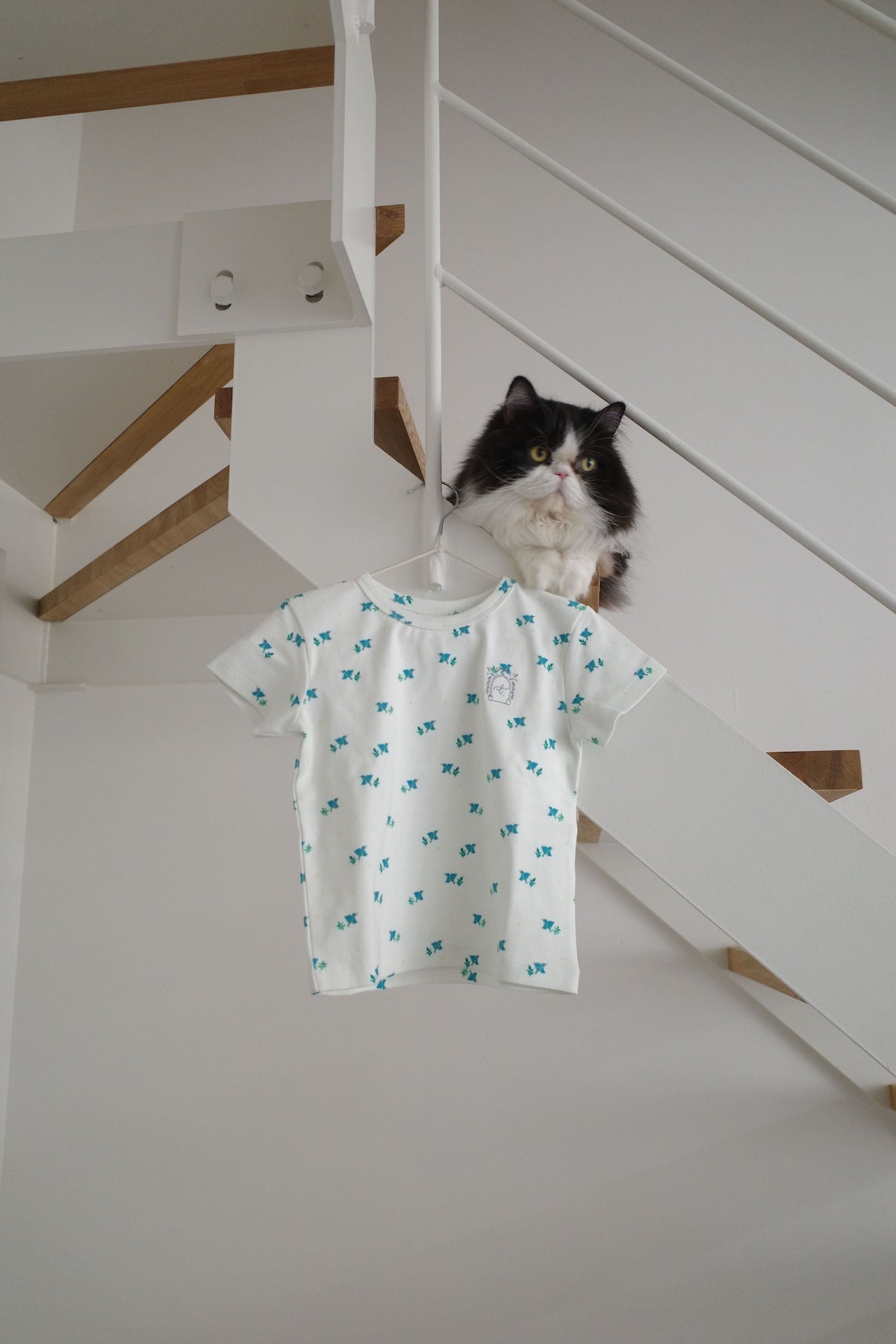 T-Shirt - Kawasemi