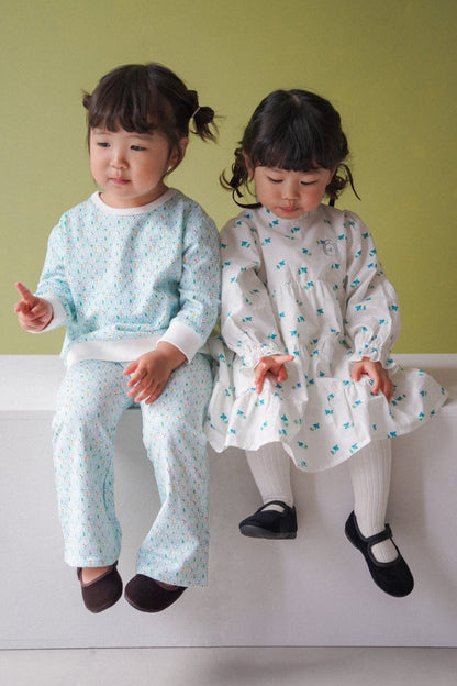 Long Sleeve Dress - Kawasemi