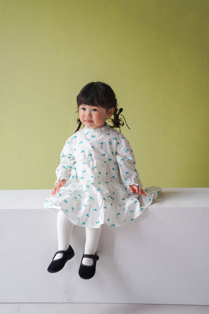 Long Sleeve Dress - Kawasemi