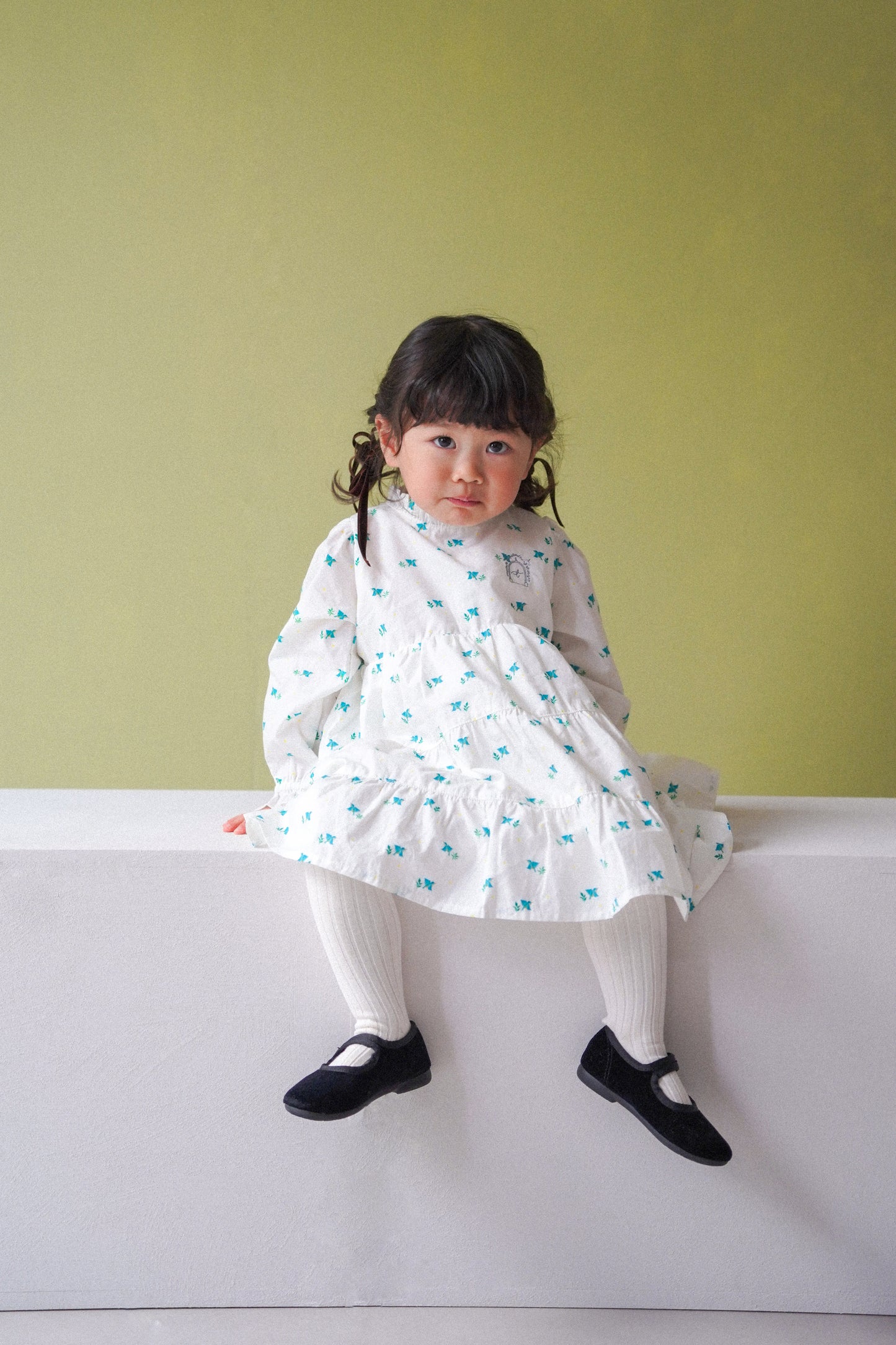 Long Sleeve Dress - Kawasemi