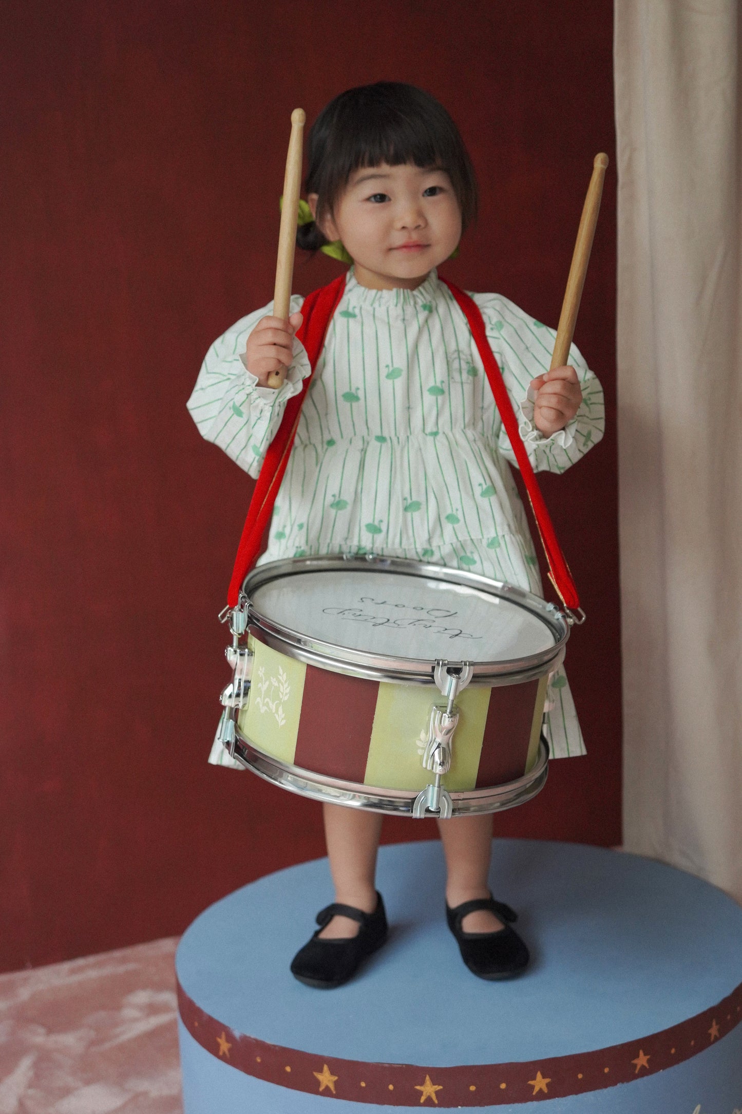 Long Sleeve Dress - Swan