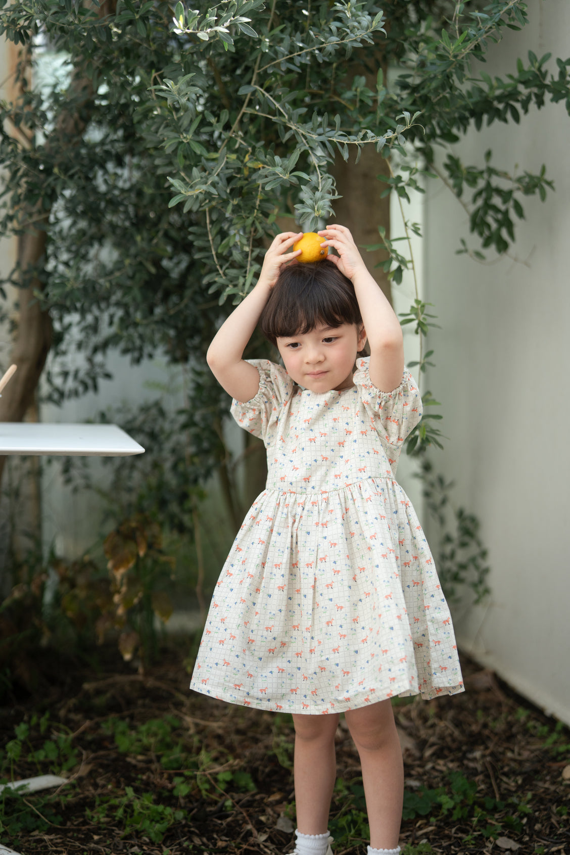 Short Sleeve Dress - Kitsune