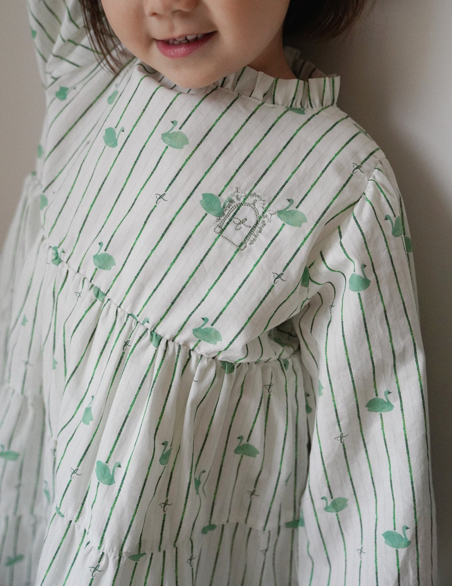 Long Sleeve Dress - Swan