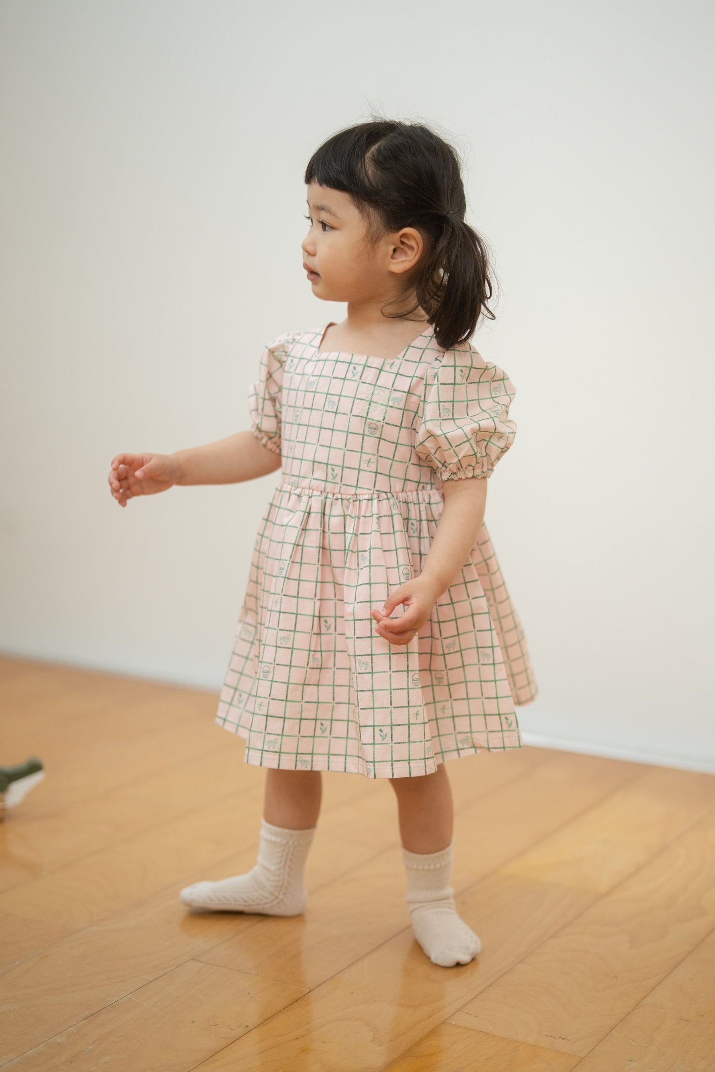 Short Sleeve Dress - Picnic