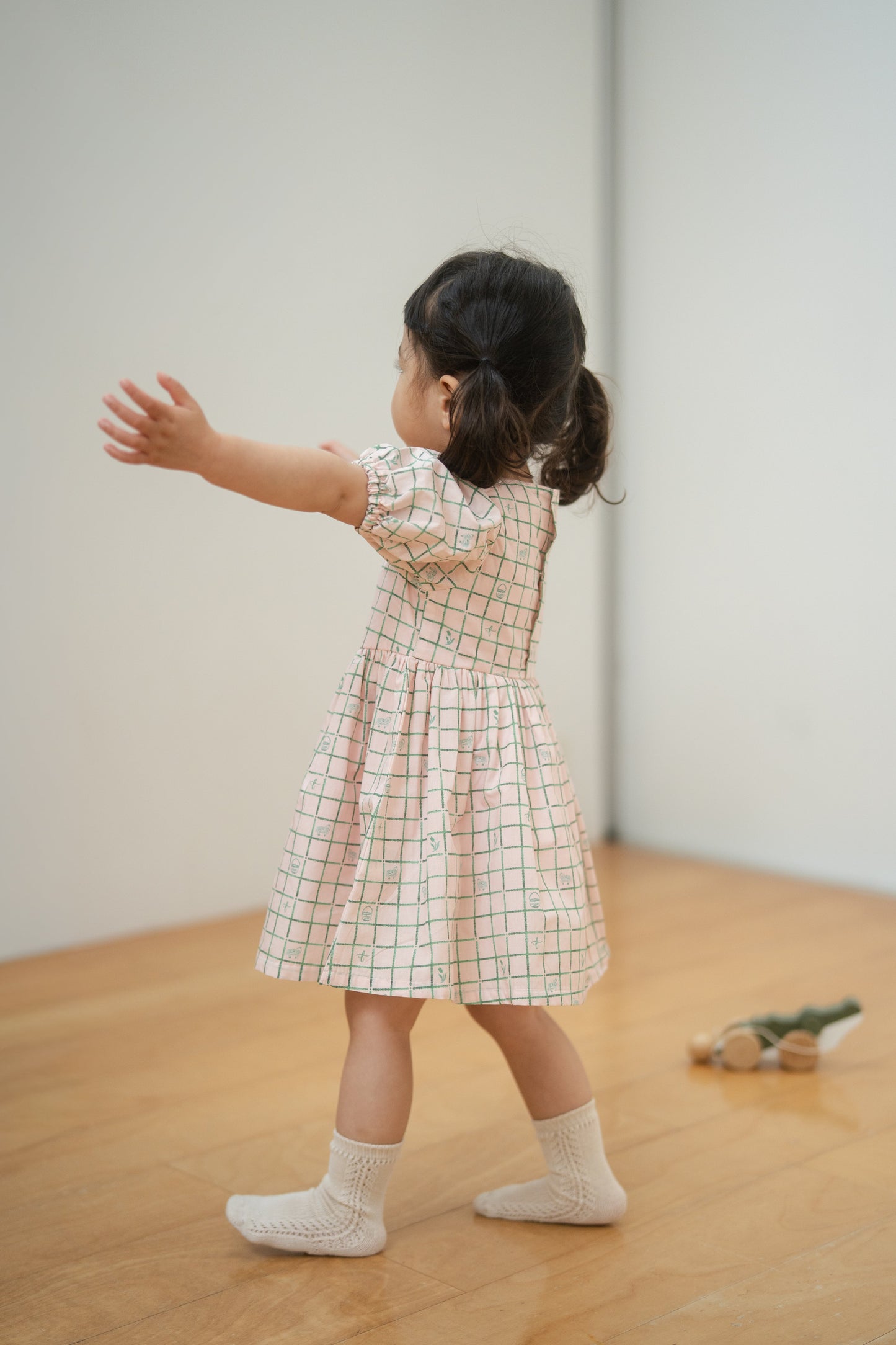 Short Sleeve Dress - Picnic