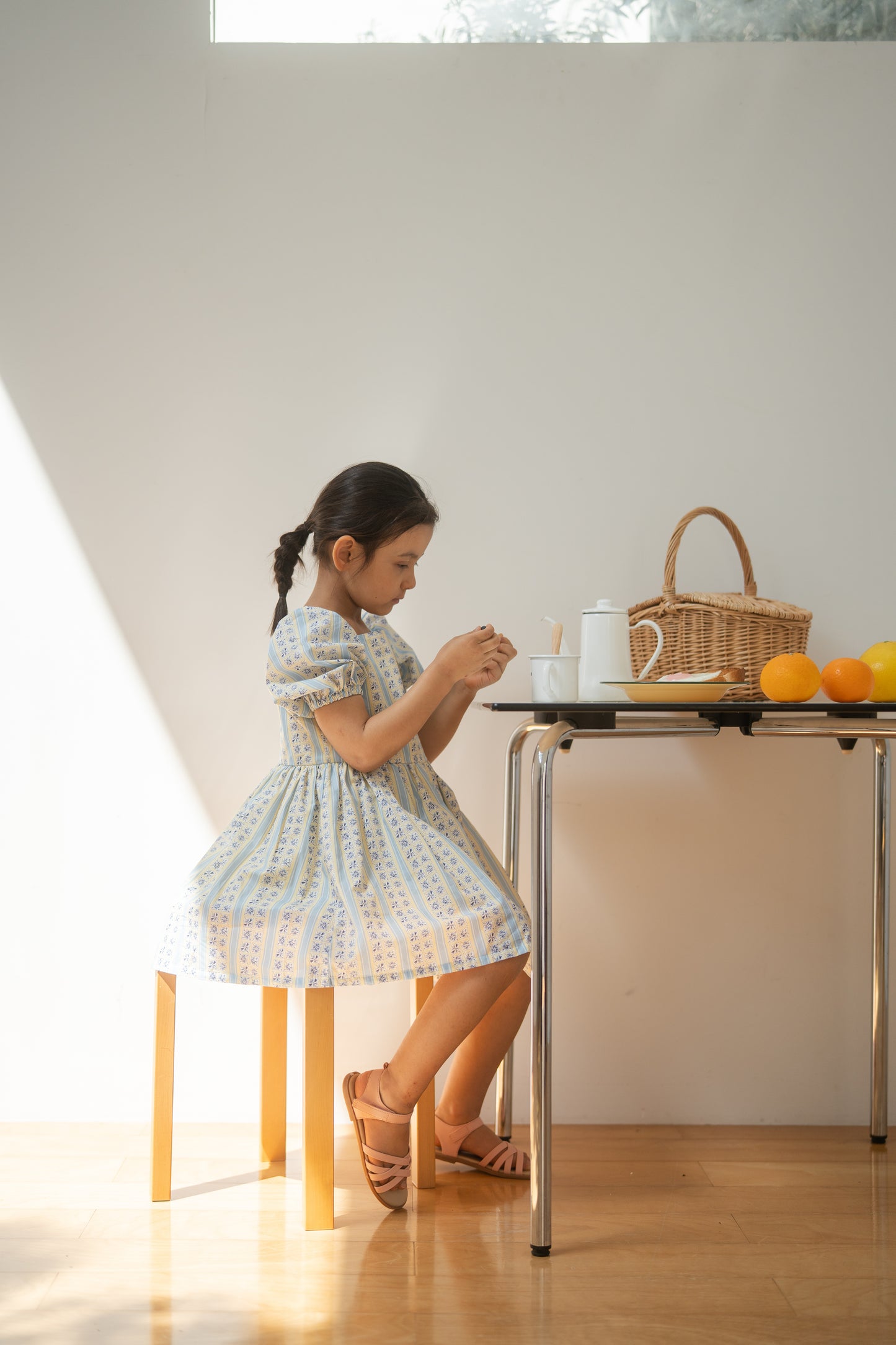 Short Sleeve Dress - Tsubame Stripe
