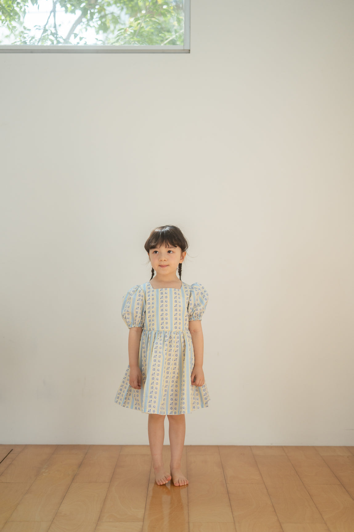 Short Sleeve Dress - Tsubame Stripe