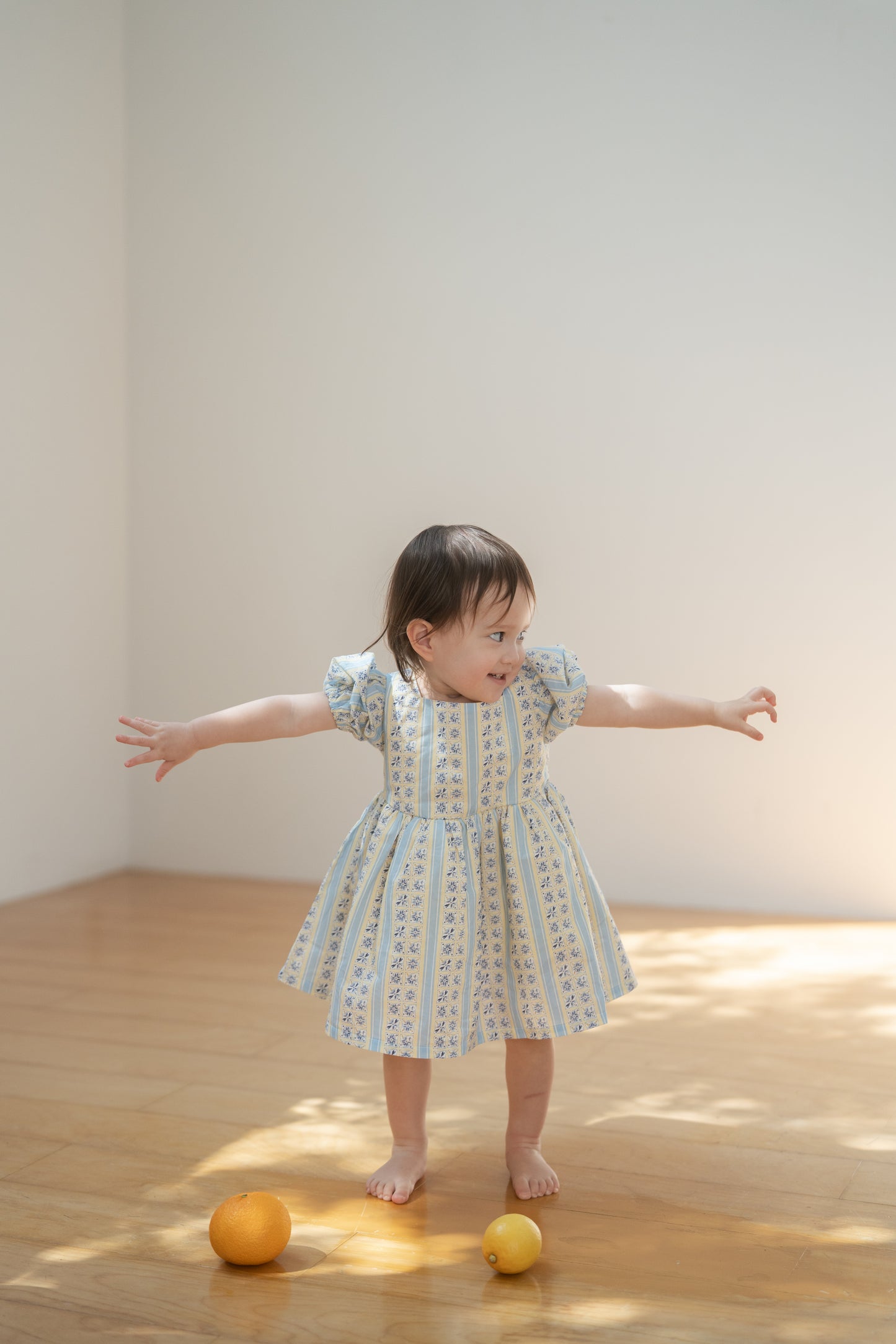 Short Sleeve Dress - Tsubame Stripe