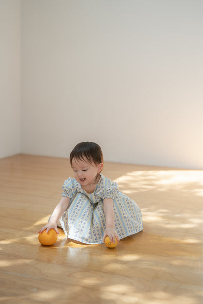 Short Sleeve Dress - Tsubame Stripe