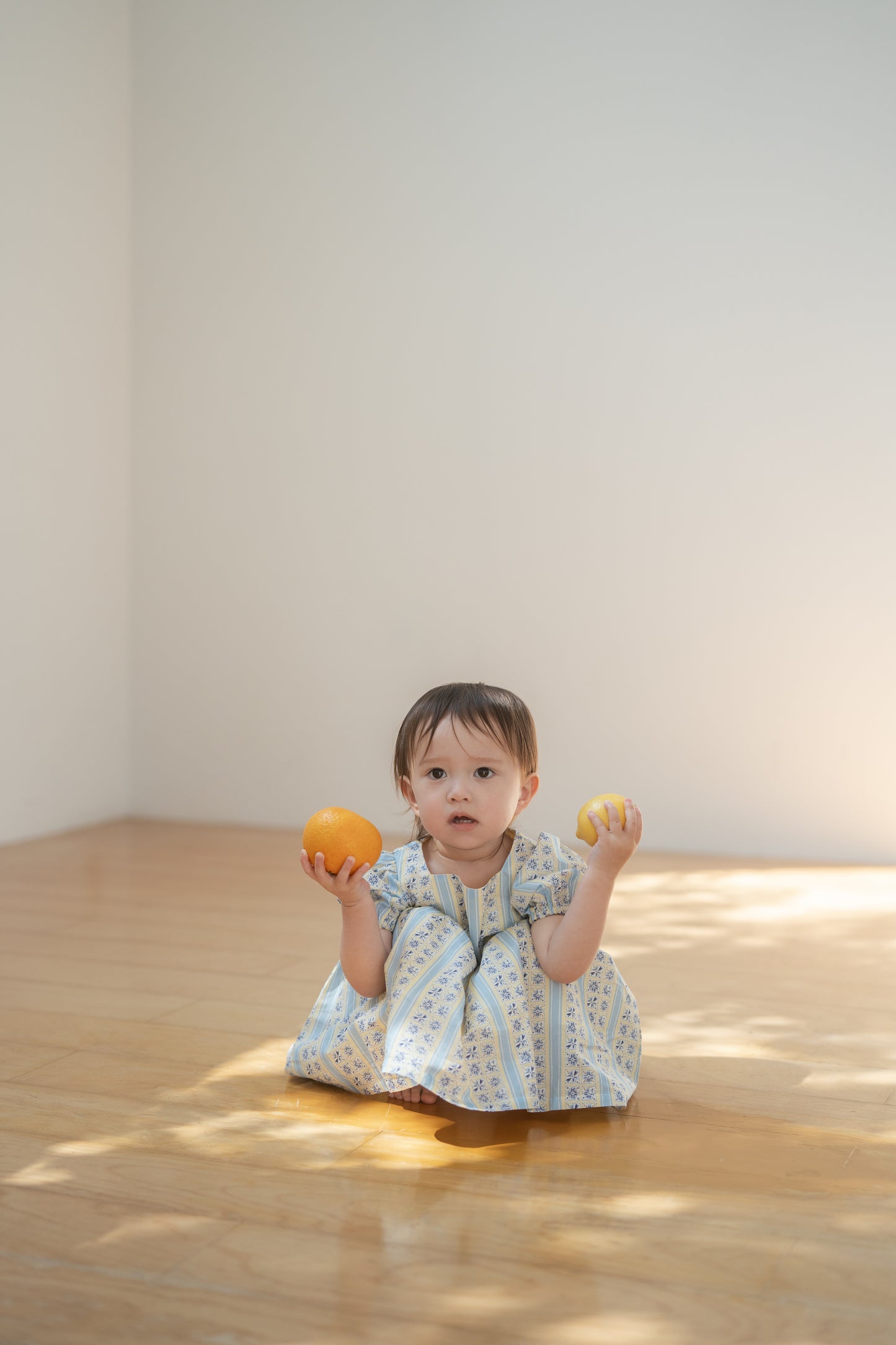 Short Sleeve Dress - Tsubame Stripe