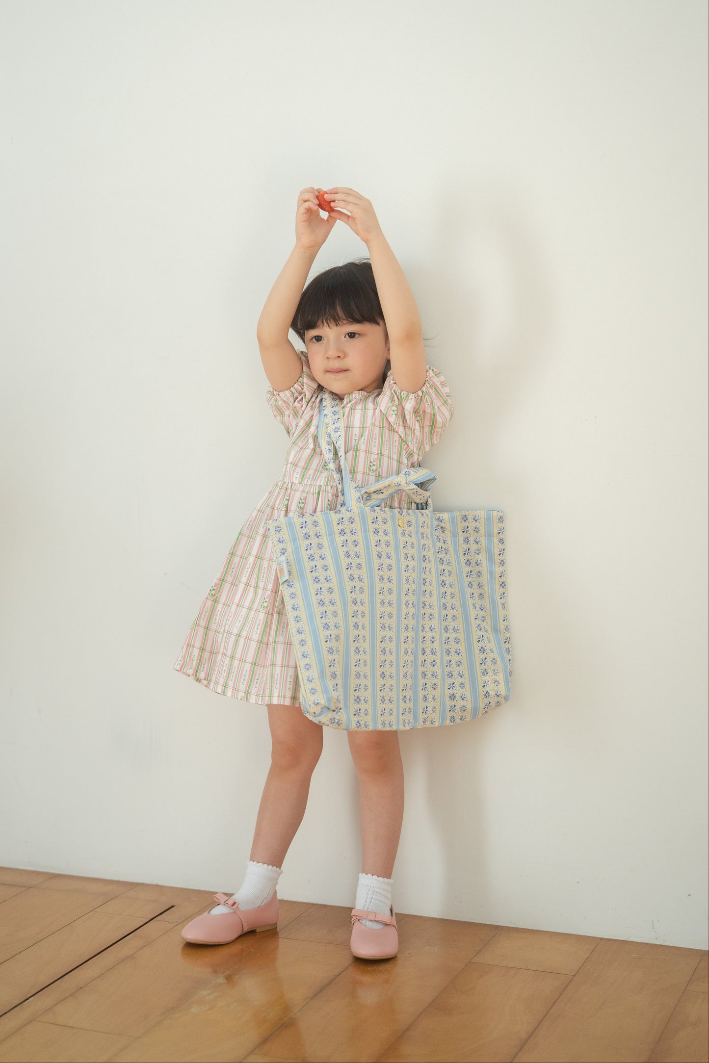 Lesson Bag - Tsubame Stripe