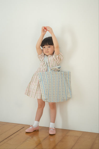 Lesson Bag - Tsubame Stripe